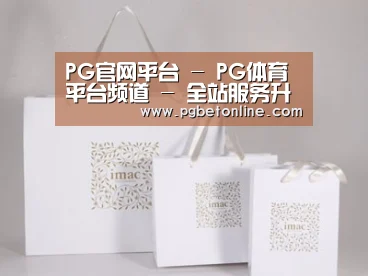 项目名称十一