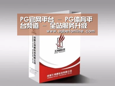 项目名称十三