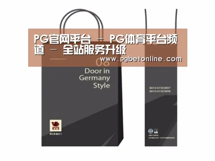 项目名称十四