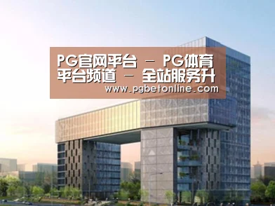 案例展示四
