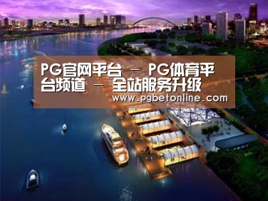 案例展示八